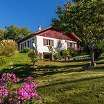 Maison Dans Un Parc De Verdure